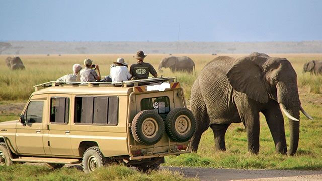 Safari in Serengeti National Park
